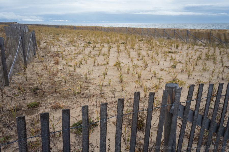 221-Provincetown-Herring-Cove