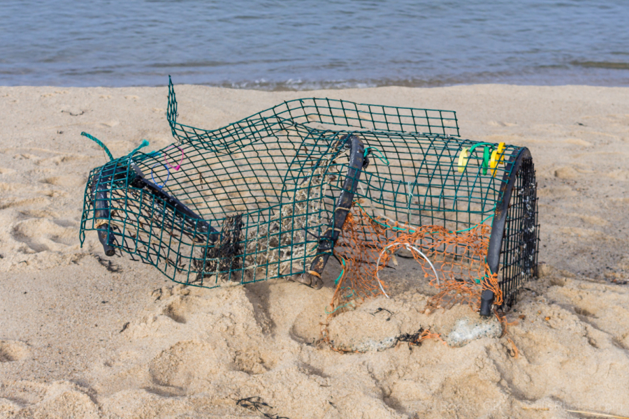 236-Provicetown-Race-Point-Lobster-Trap