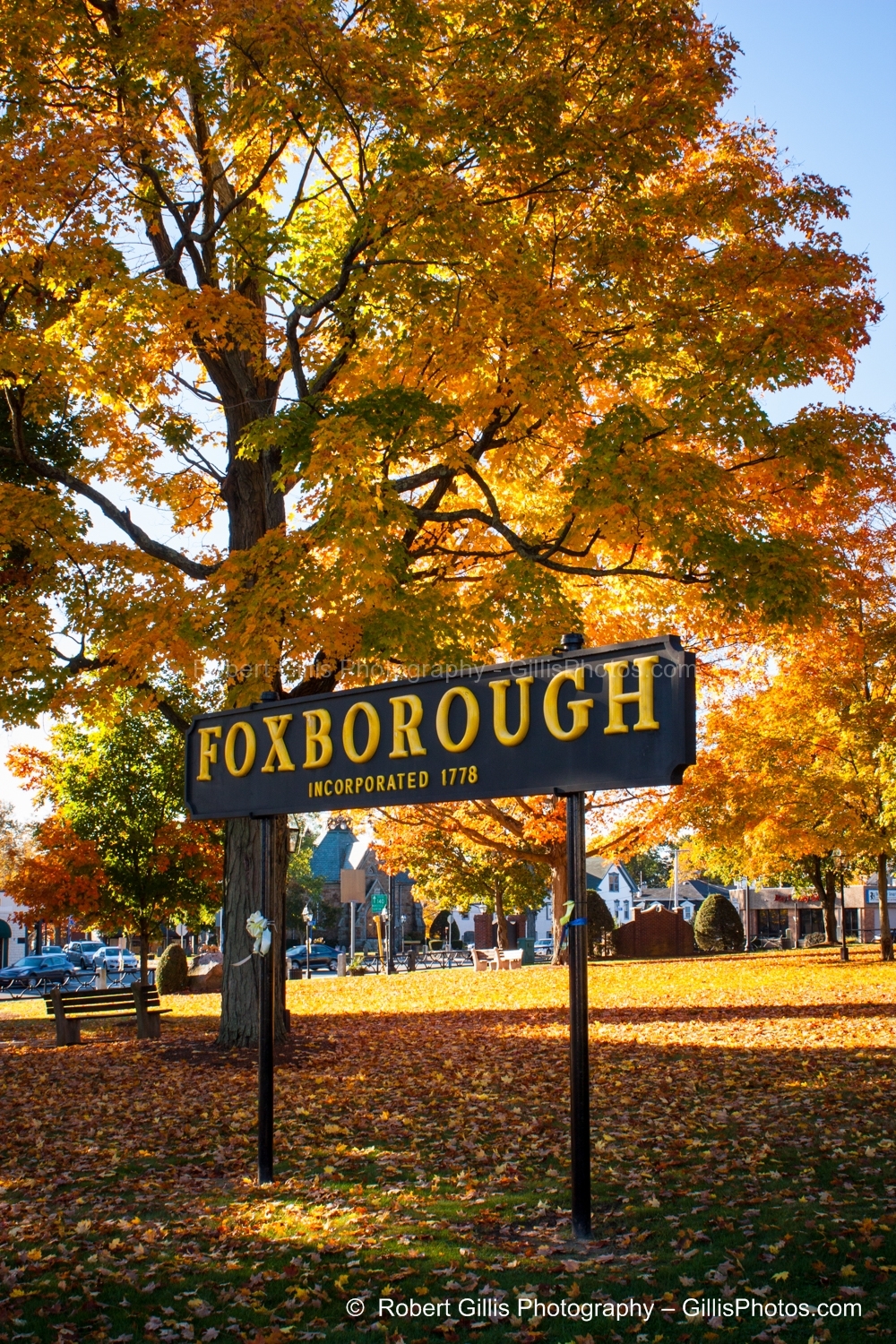 14 Foxboro - Sign - Autumn 2013