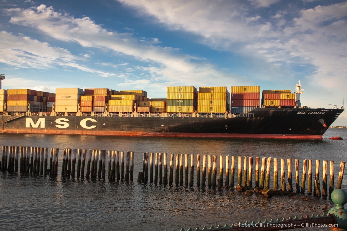 99 Castle Island - MSC Tamara Cargo Container Ship at Sunset