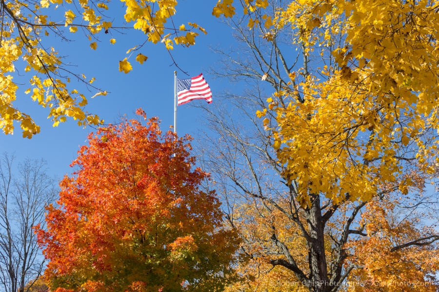 083 Foxboro - Common in Autumn - Beautiful Leaves and American Flag