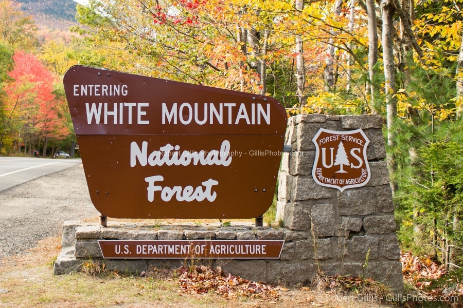 27-Kancamagus-Entering-White-Mountain-Nation-Forest-Autumn