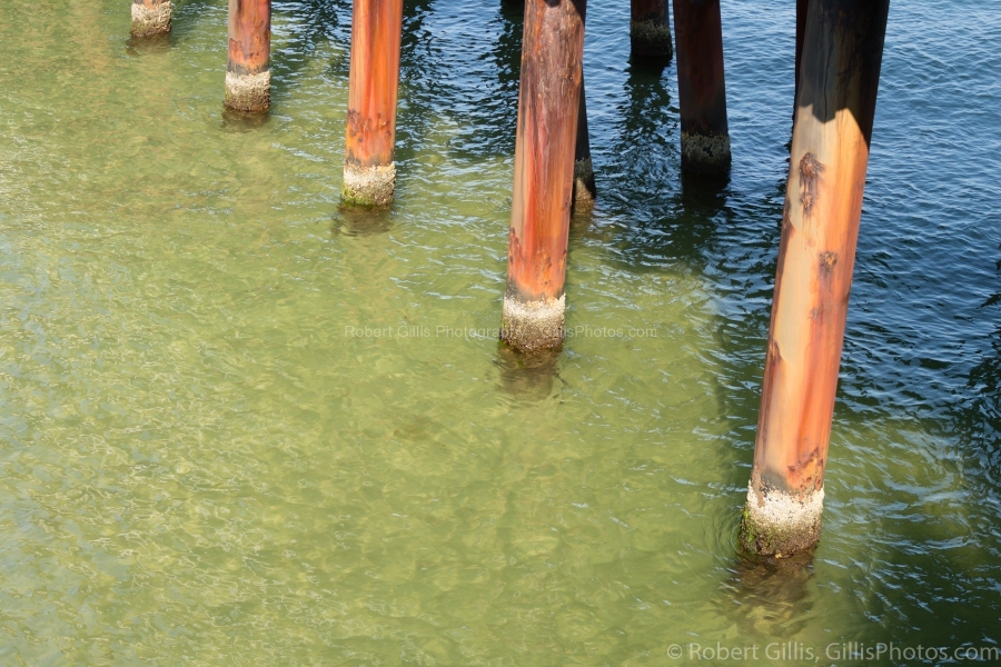 32-Marthas-Vineyard-Oak-Bluffs-Dock-Pylons