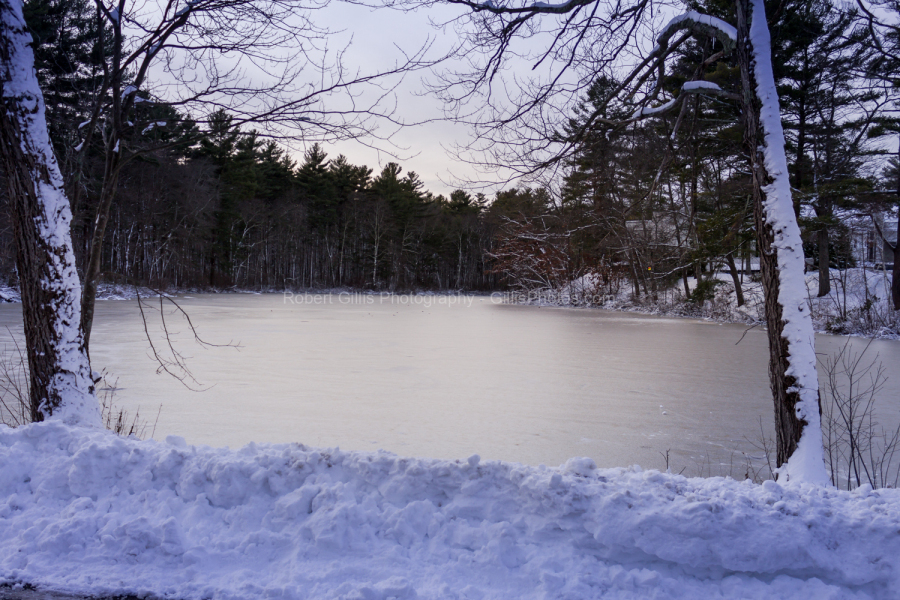 48-Foxboro-Christmas-Lakeview-Ice-Pond