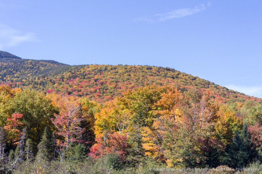 63-Crawford-Notch-Autumn-Colors-at-Crawford-Notch-Train-Depot