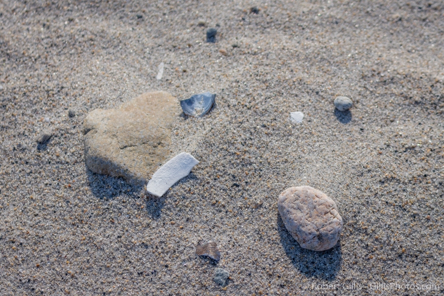 027-RI-Narragansett-Port-Judith-Galilee-Salty-Brine-Beach-Sand-garden-Shells-and-Rocks